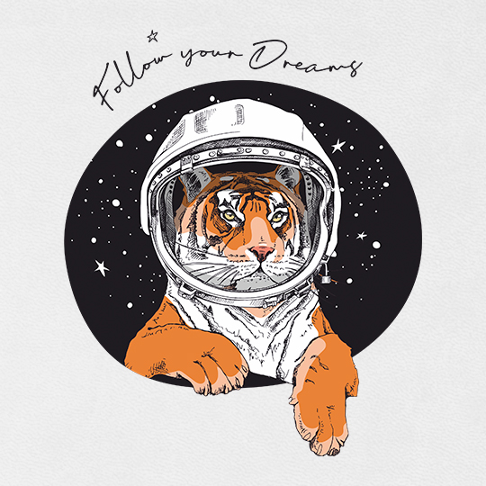 Ежедневник 'Follow dreams'