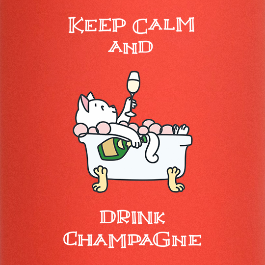 Термос 'Drink champagne'