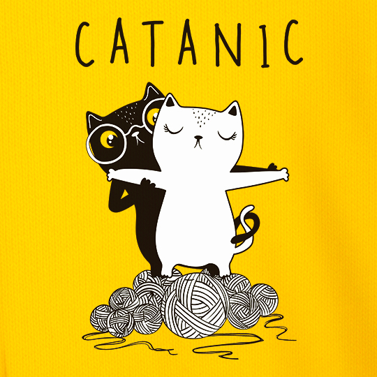 Свитшот женский 'Catanic'