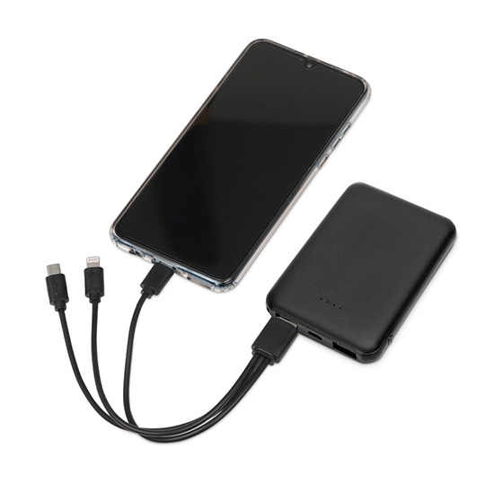 Аккумулятор внешний 5000 mAh 'Basic'