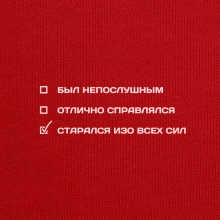 Толстовка унисекс 'Старался изо всех сил'