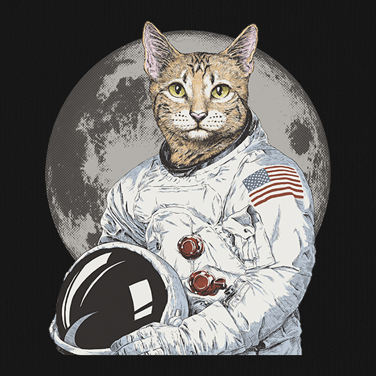 Футболка унисекс 'Astrocat'