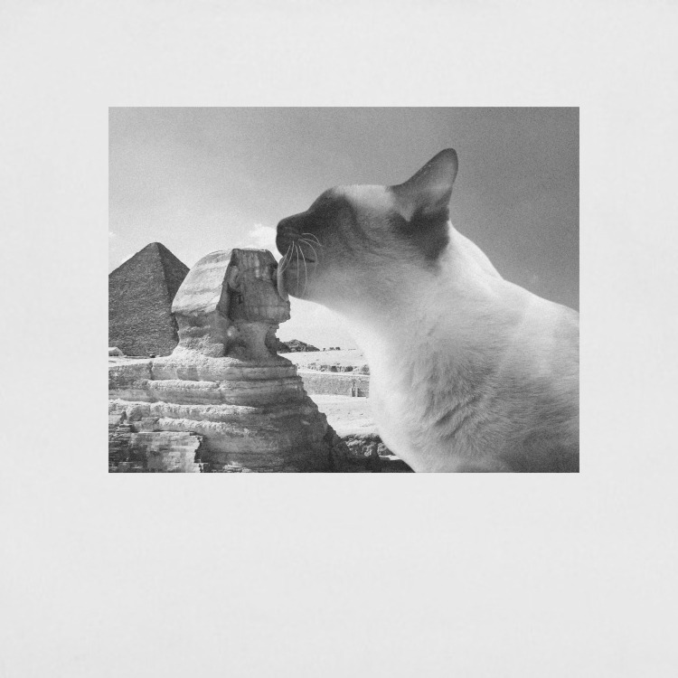 Сумка-шоппер 'Cat in Egypt'
