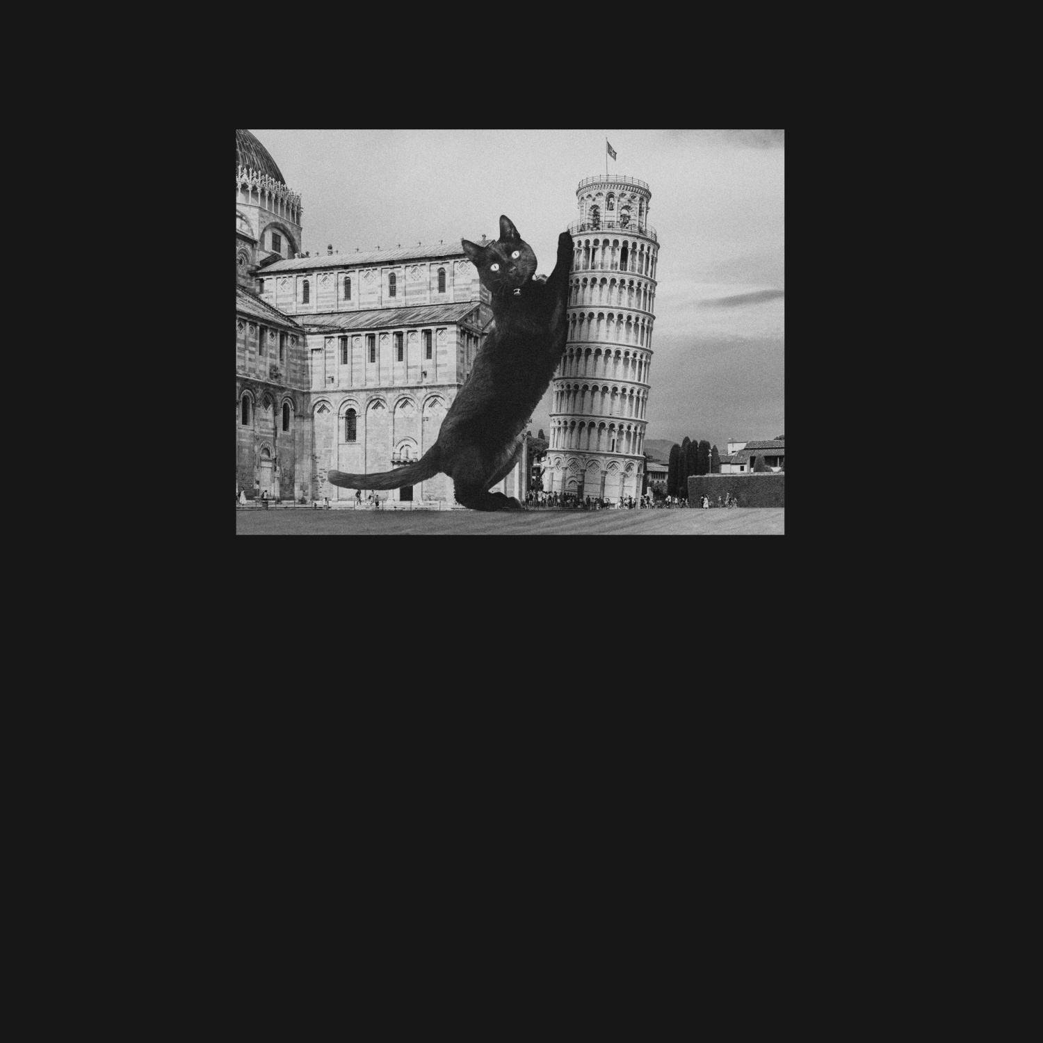 Футболка унисекс 'Cat in Pisa' 