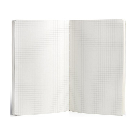 Блокнот 'Удивленный Рекс'