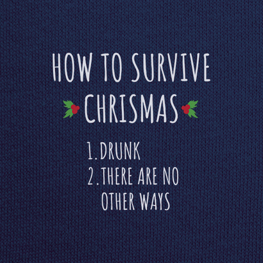 Толстовка унисекс 'How to survive Chrismas'