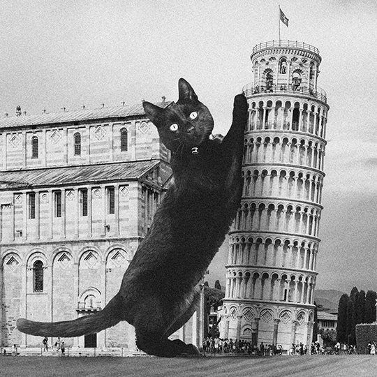 Сумка-шоппер 'Cat in Pisa'